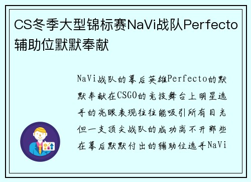 CS冬季大型锦标赛NaVi战队Perfecto辅助位默默奉献