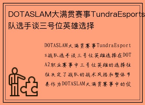 DOTASLAM大满贯赛事TundraEsports战队选手谈三号位英雄选择